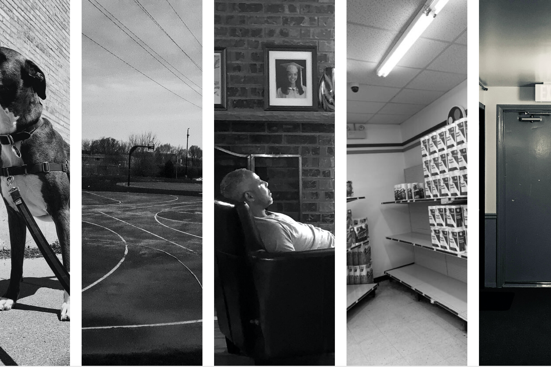 Image: A compilation of photos from each photographer presented as part of In the Cut. From left to right, the photos are by Darius Hazen, Catherine Arroyo, Danelise Comas, Paris Dority, and Preleah Campbell.